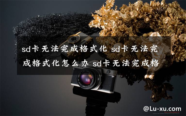 sd卡无法完成格式化 sd卡无法完成格式化怎么办 sd卡无法完成格式化解决方法