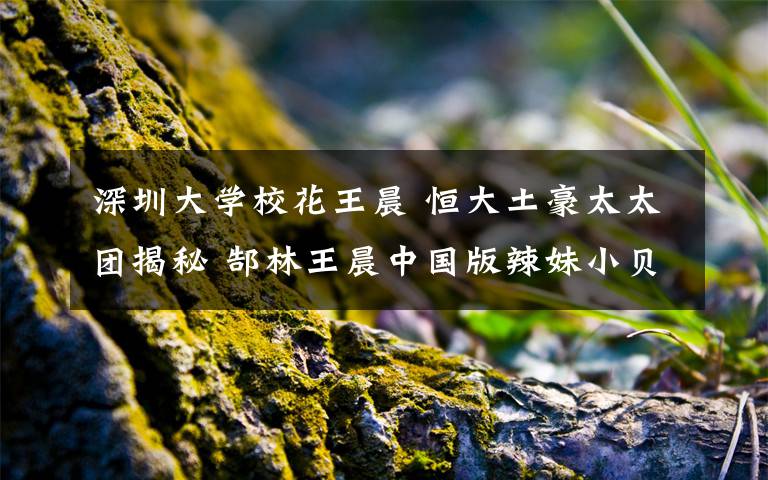 深圳大学校花王晨 恒大土豪太太团揭秘 郜林王晨中国版辣妹小贝