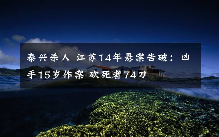 泰兴杀人 江苏14年悬案告破:凶手15岁作案 砍死者74刀
