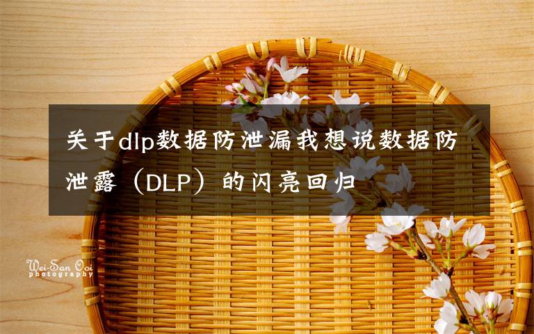 关于dlp数据防泄漏我想说数据防泄露(DLP)的闪亮回归