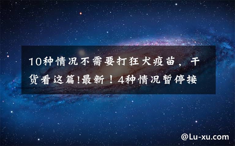10种情况不需要打狂犬疫苗,干货看这篇!最新!4种情况暂停接种第2剂疫苗