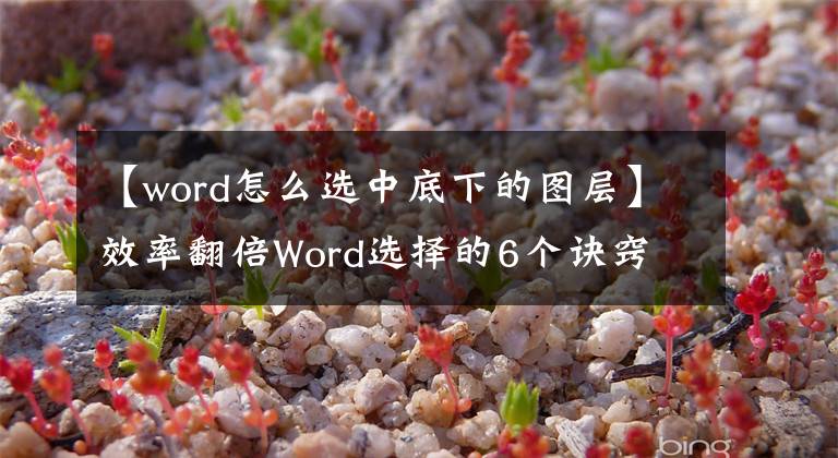 【word怎么选中底下的图层】效率翻倍Word选择的6个诀窍
