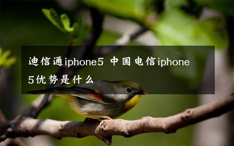 迪信通iphone5 中国电信iphone5优势是什么
