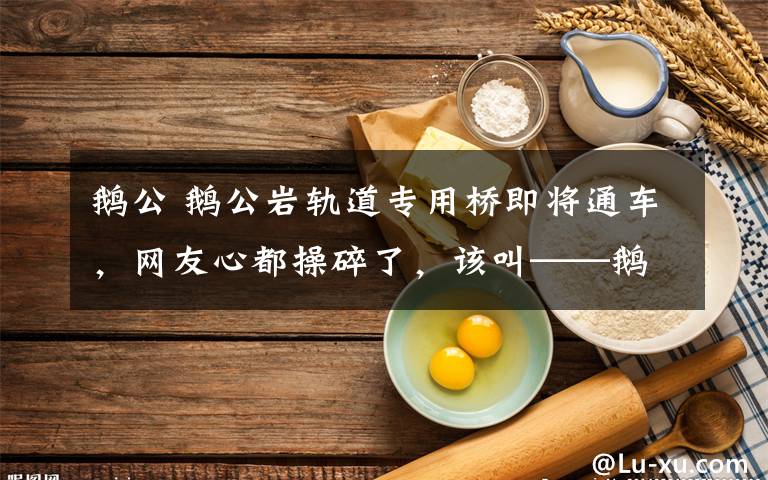 鹅公 鹅公岩轨道专用桥即将通车,网友心都操碎了,该叫——鹅婆桥还是鹅母桥