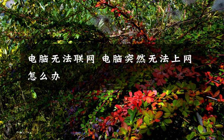 电脑无法联网 电脑突然无法上网怎么办