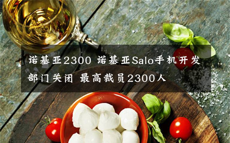 诺基亚2300 诺基亚Salo手机开发部门关闭 最高裁员2300人