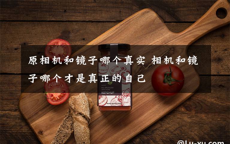 原相机和镜子哪个真实 相机和镜子哪个才是真正的自己