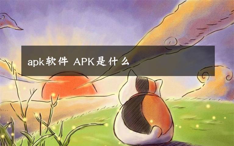 apk软件 APK是什么