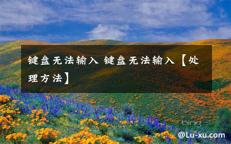 键盘无法输入 键盘无法输入【处理方法】