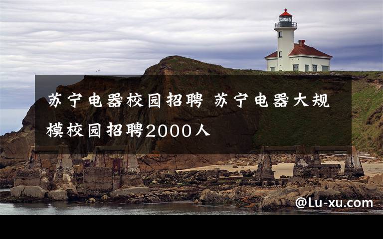 苏宁电器校园招聘 苏宁电器大规模校园招聘2000人