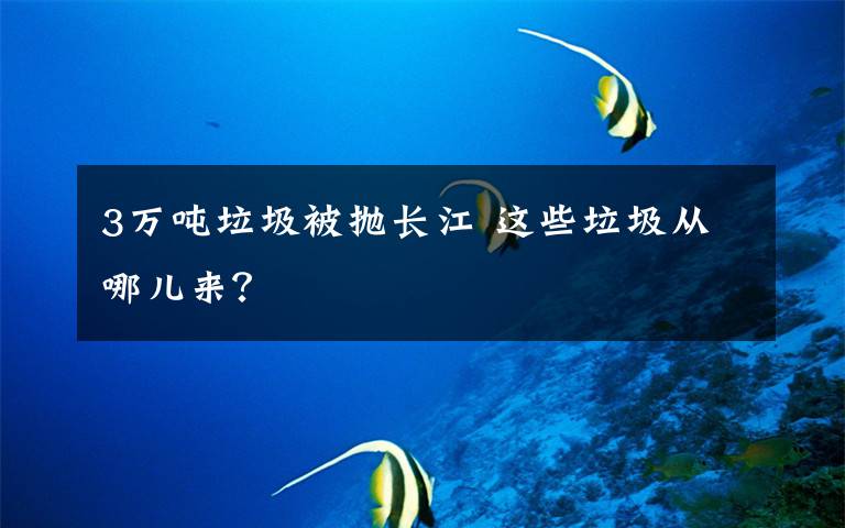3万吨垃圾被抛长江 这些垃圾从哪儿来?