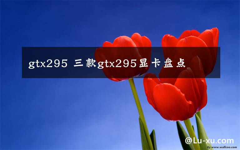 gtx295 三款gtx295显卡盘点