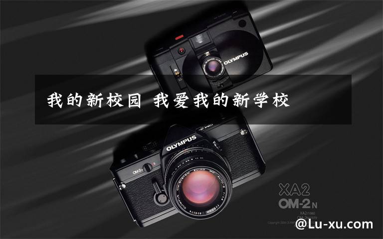 我的新校园 我爱我的新学校