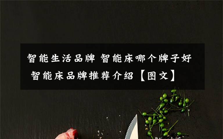 智能生活品牌 智能床哪个牌子好 智能床品牌推荐介绍【图文】