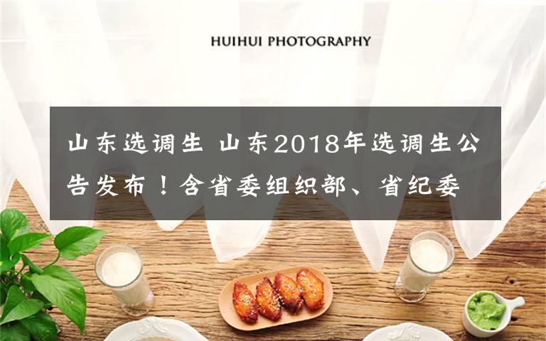 山东选调生 山东2018年选调生公告发布!含省委组织部、省纪委等热门岗位!