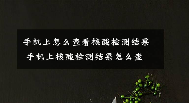 手机上怎么查看核酸检测结果 手机上核酸检测结果怎么查 怎样在手机上查核酸检测结果