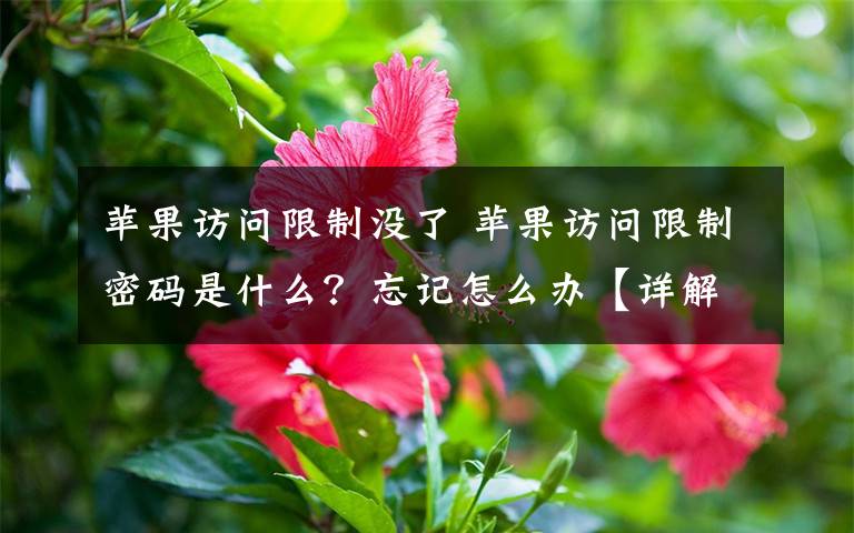 苹果访问限制没了 苹果访问限制密码是什么?忘记怎么办【详解】