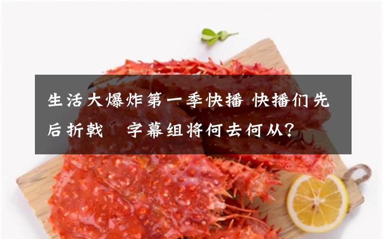 生活大爆炸第一季快播 快播们先后折戟 字幕组将何去何从?