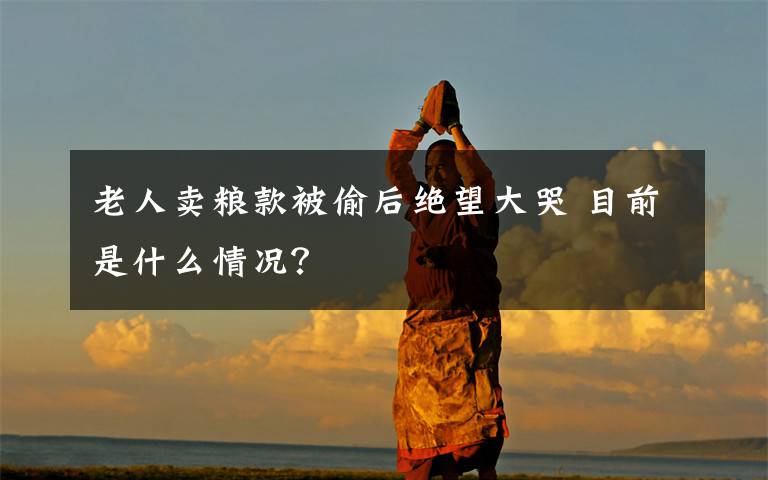 老人卖粮款被偷后绝望大哭 目前是什么情况?
