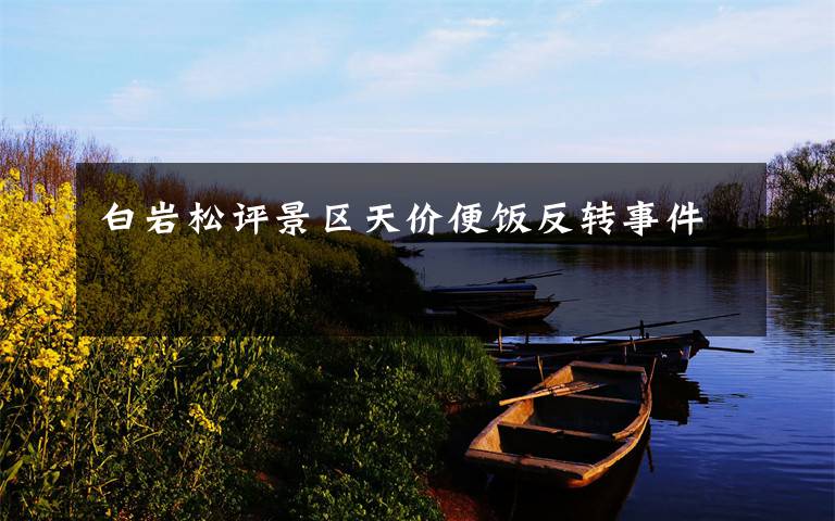 白岩松评景区天价便饭反转事件