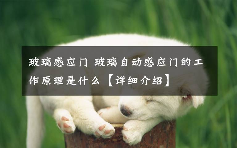 玻璃感应门 玻璃自动感应门的工作原理是什么【详细介绍】