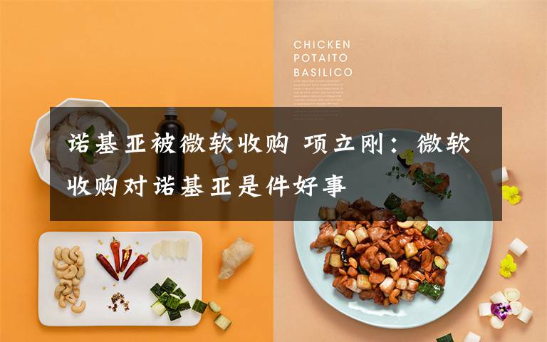 诺基亚被微软收购 项立刚:微软收购对诺基亚是件好事