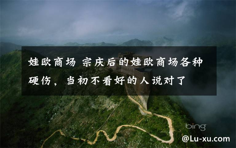 娃欧商场 宗庆后的娃欧商场各种硬伤,当初不看好的人说对了