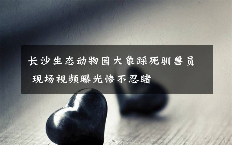 长沙生态动物园大象踩死驯兽员 现场视频曝光惨不忍睹