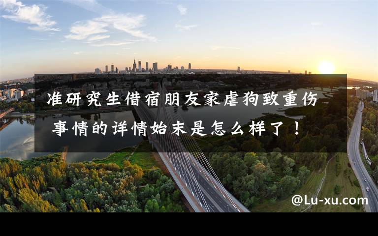 准研究生借宿朋友家虐狗致重伤 事情的详情始末是怎么样了!