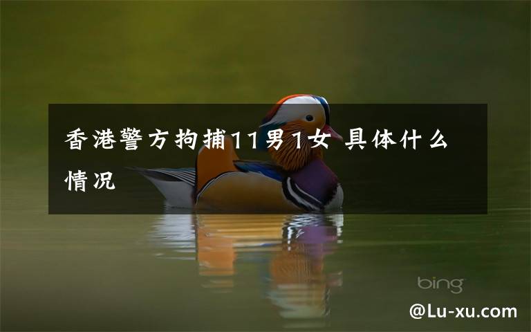 香港警方拘捕11男1女 具体什么情况