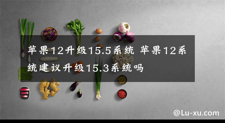 苹果12升级15.5系统 苹果12系统建议升级15.3系统吗