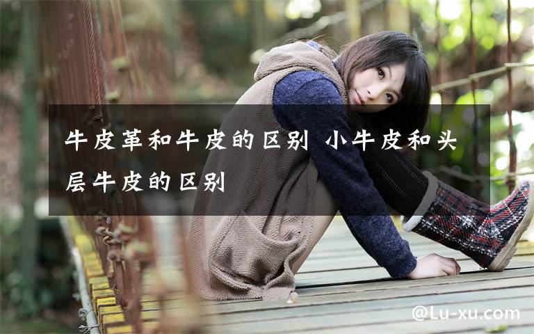 牛皮革和牛皮的区别 小牛皮和头层牛皮的区别