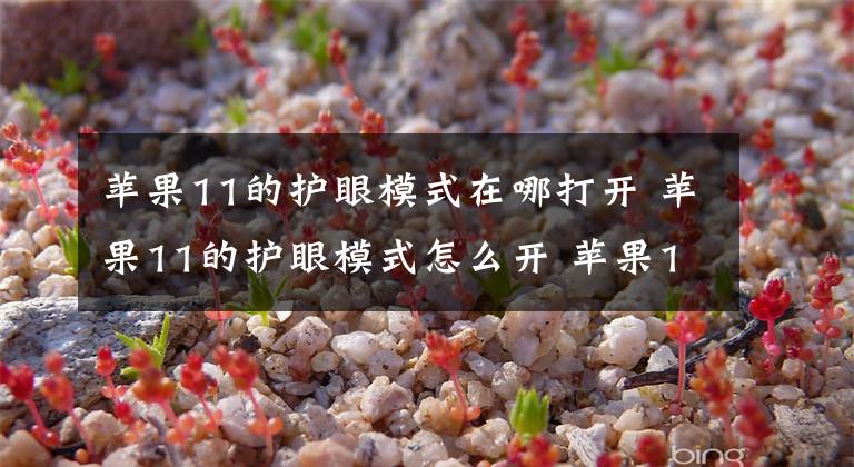 苹果11的护眼模式在哪打开 苹果11的护眼模式怎么开 苹果11的护眼模式怎么设置