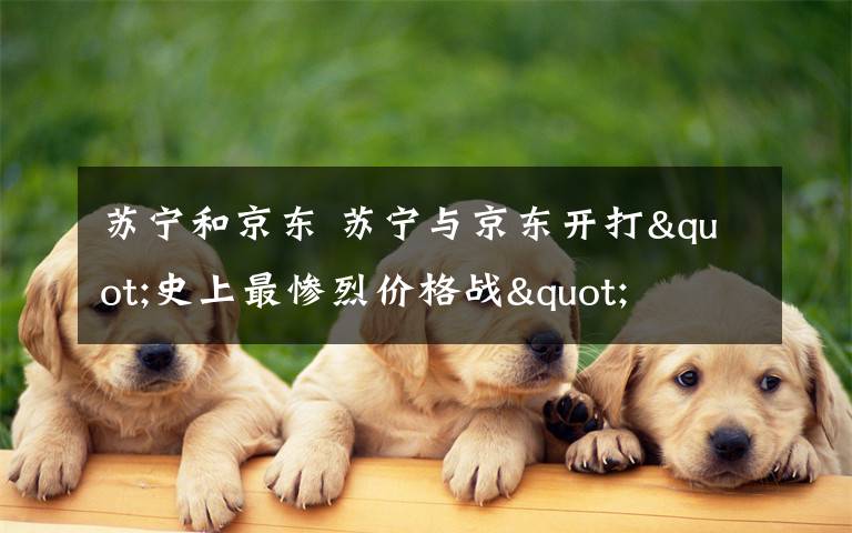 苏宁和京东 苏宁与京东开打"史上最惨烈价格战"