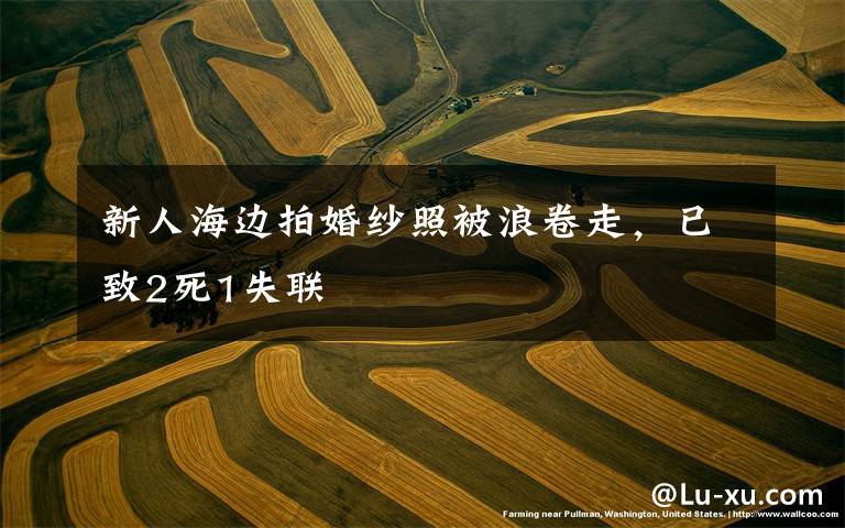 新人海边拍婚纱照被浪卷走,已致2死1失联