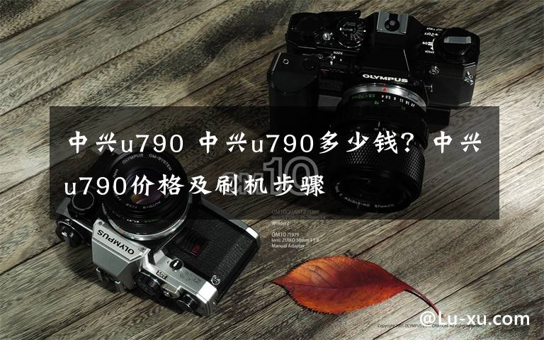 中兴u790 中兴u790多少钱?中兴u790价格及刷机步骤