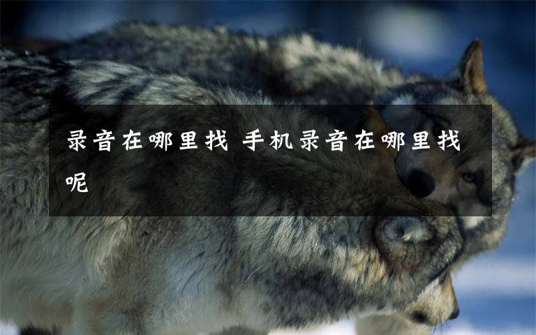 录音在哪里找 手机录音在哪里找呢