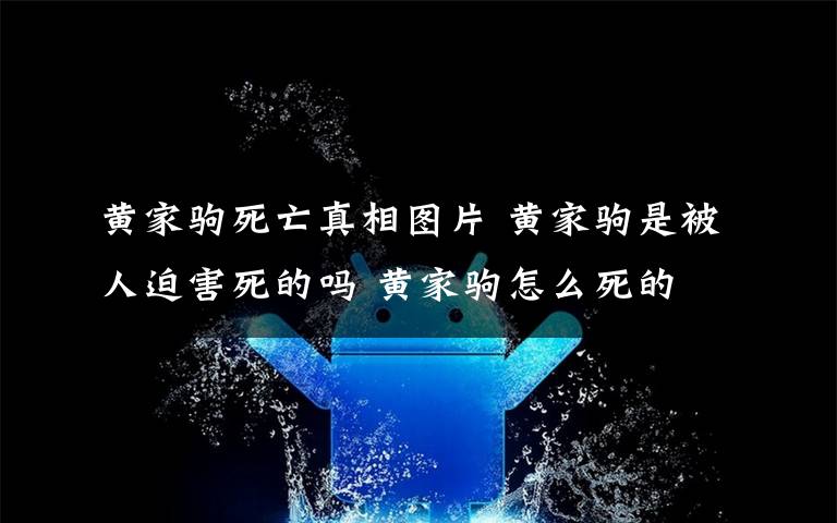 黄家驹死亡真相图片 黄家驹是被人迫害死的吗 黄家驹怎么死的