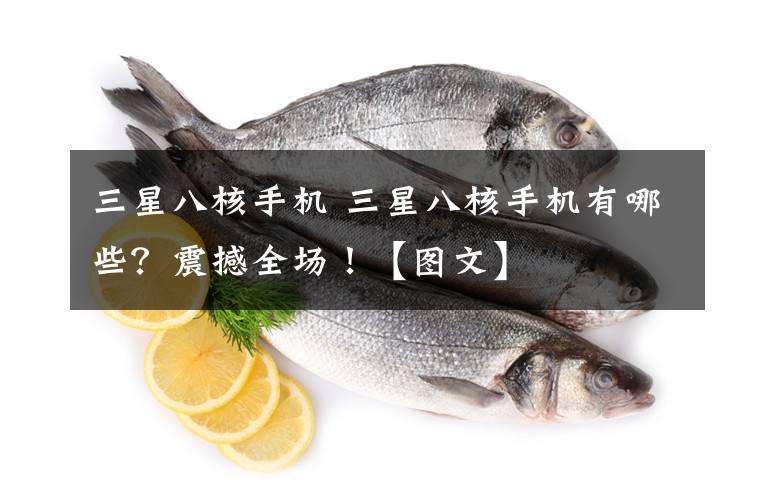 三星八核手机 三星八核手机有哪些?震撼全场!【图文】