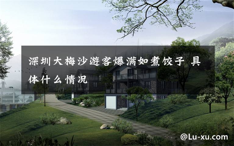 深圳大梅沙游客爆满如煮饺子 具体什么情况
