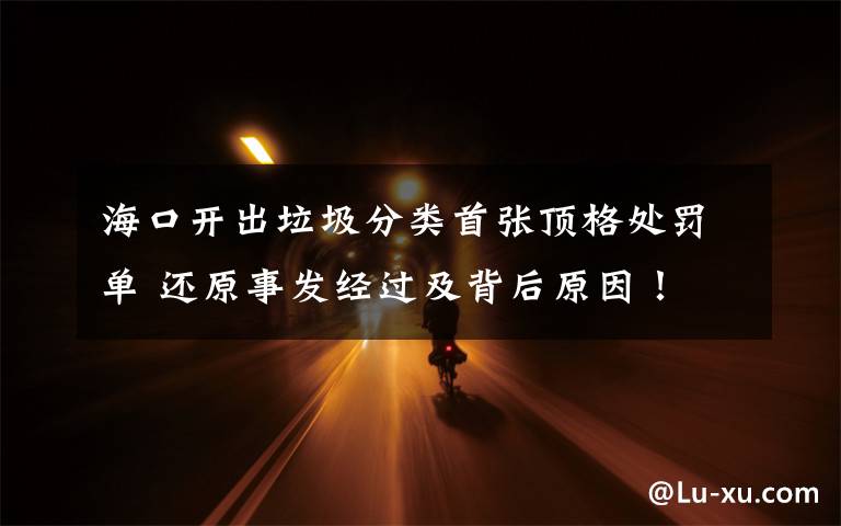 海口开出垃圾分类首张顶格处罚单 还原事发经过及背后原因！