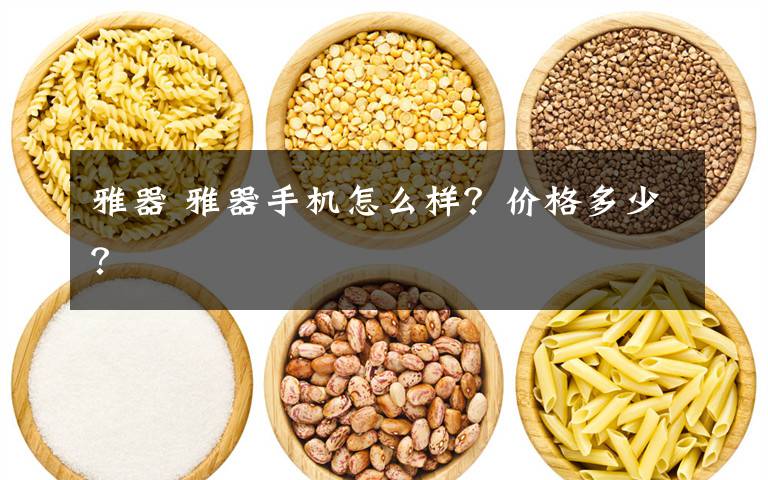 雅器 雅器手机怎么样?价格多少?