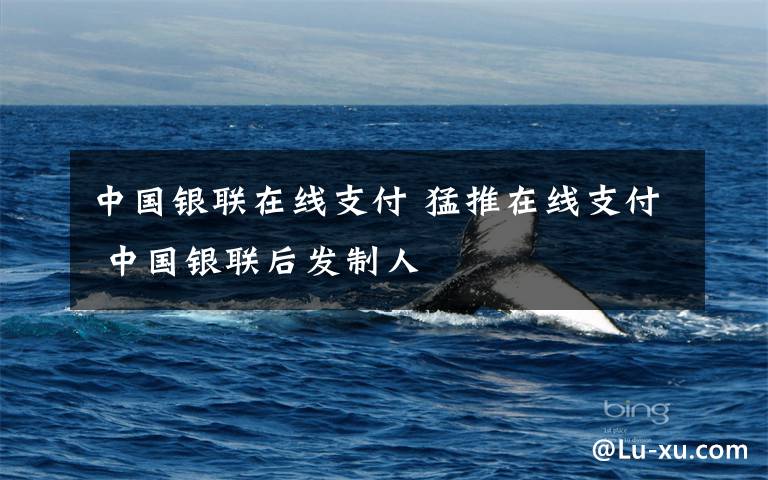中国银联在线支付 猛推在线支付 中国银联后发制人