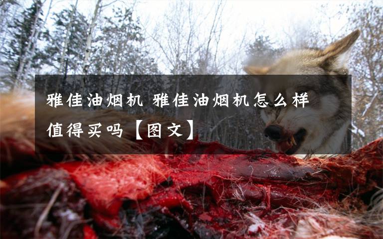 雅佳油烟机 雅佳油烟机怎么样 值得买吗【图文】