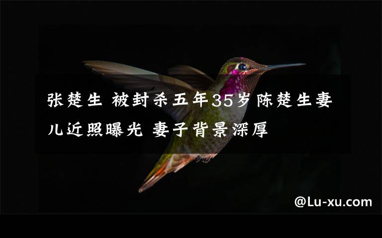 张楚生 被封杀五年35岁陈楚生妻儿近照曝光 妻子背景深厚