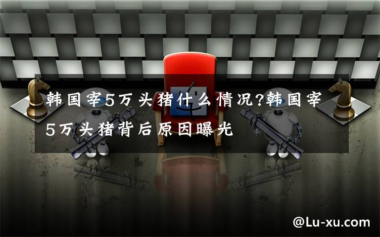 韩国宰5万头猪什么情况?韩国宰5万头猪背后原因曝光
