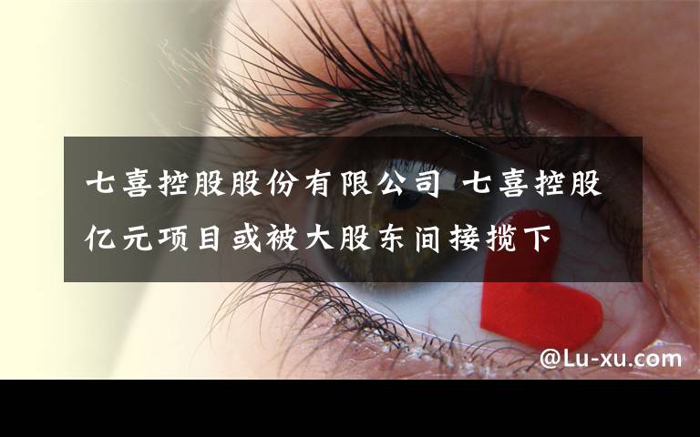 七喜控股股份有限公司 七喜控股亿元项目或被大股东间接揽下