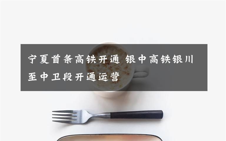 宁夏首条高铁开通 银中高铁银川至中卫段开通运营