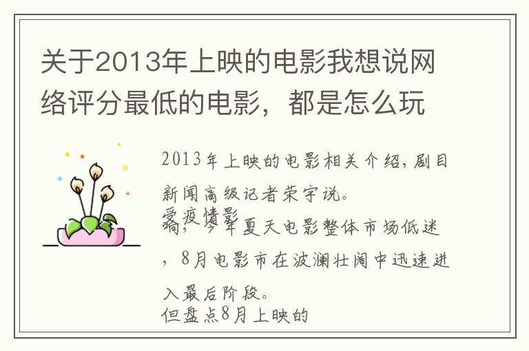 关于2013年上映的电影我想说网络评分最低的电影,都是怎么玩砸的