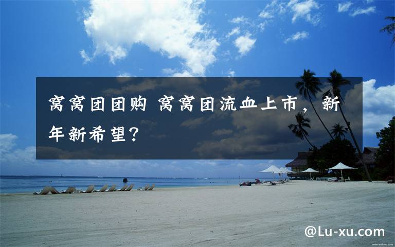 窝窝团团购 窝窝团流血上市,新年新希望?